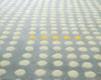 Wolfgang Laib : without place, without time, without body : exposition, Musée de Grenoble, 5 juillet-28 septembre 2008