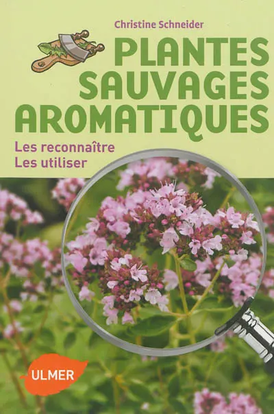 Plantes sauvages aromatiques : les reconnaître, les utiliser