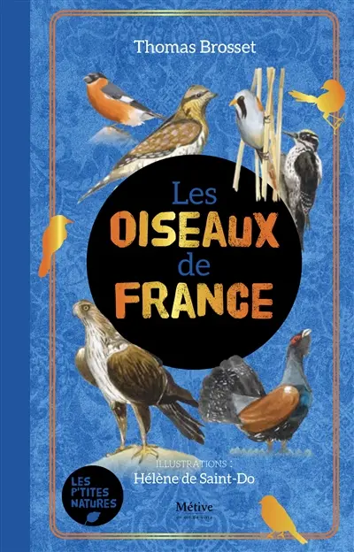 Les rares oiseaux de France