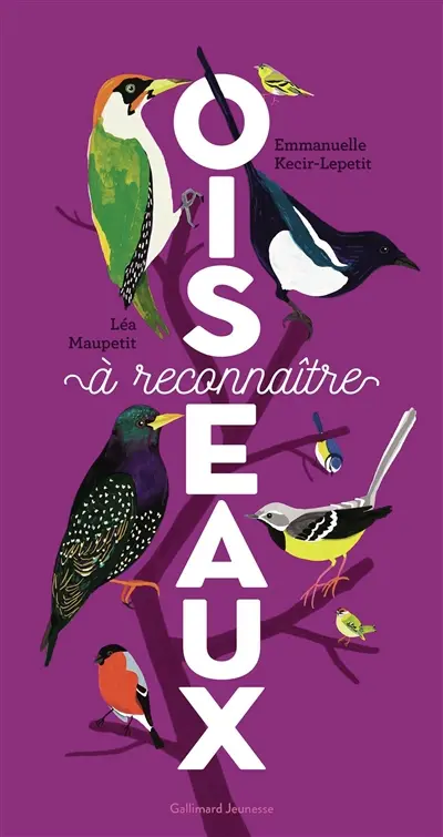 Oiseaux à reconnaître