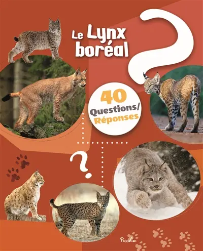 Le lynx