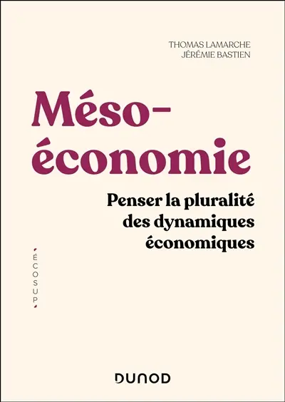 Mésoéconomie : penser la pluralité des dynamiques économiques