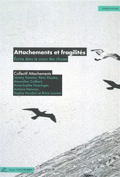 Attachements et fragilités : écrire dans le cours des choses