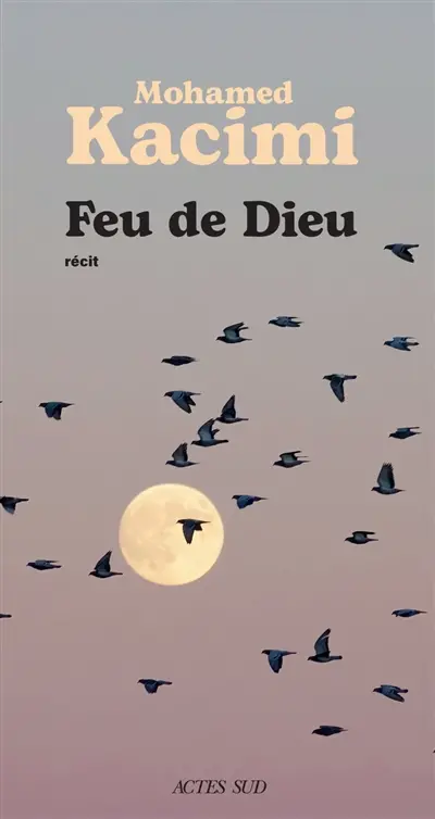 Feu de Dieu : récit