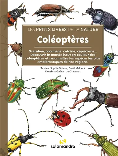 Coléoptères : coccinelles, hannetons, carabes, longicornes... : découvrir le monde haut en couleur des coléoptères et reconnaître les espèces les plus spectaculaires de nos régions