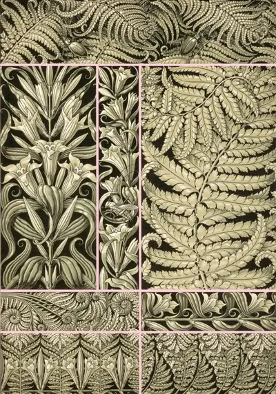 Fantaisies & ornements : planches décoratives d'Anton Seder