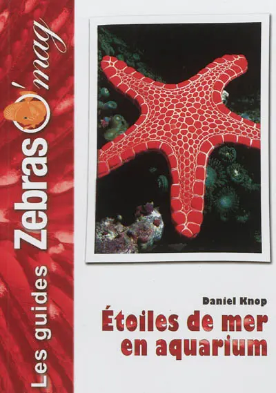 Etoiles de mer en aquarium