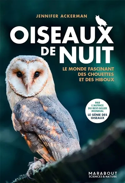 Oiseaux de nuit 