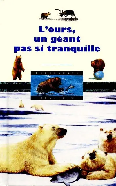 L'ours, un géant pas si tranquille