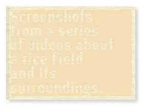 Screenshots from a series of videos about a rice field and its surroundings