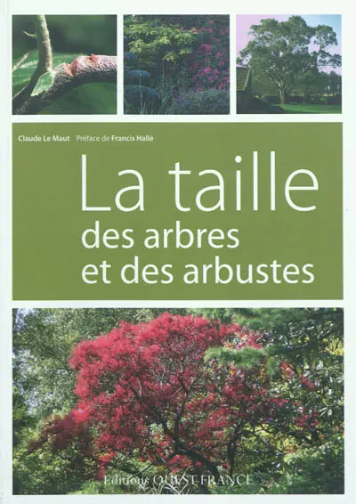 La taille des arbres et des arbustes