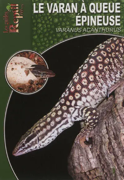 Le varan à queue épineuse : Varanus acanthurus