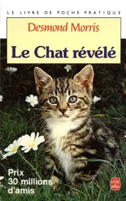 Le Chat révélé : guide essentiel du comportement de votre chat