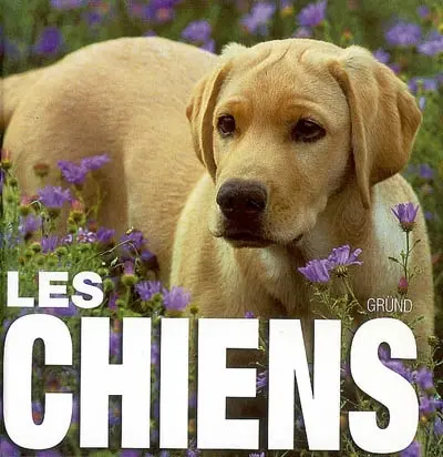 Les chiens