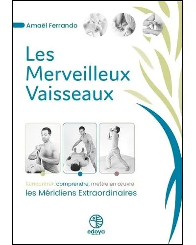 Les merveilleux vaisseaux : rencontrer, comprendre, mettre en oeuvre les méridiens extraordinaires