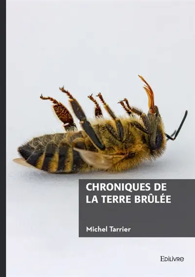 Chroniques de la terre brûlée
