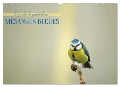 Mésanges bleues (Calendrier mural 2027 DIN A2 vertical), CALVENDO calendrier mensuel : Apportez une touche de nature et de légèreté à votre quotidien avec nos magnifiques calendriers dédiés aux mésanges bleues.