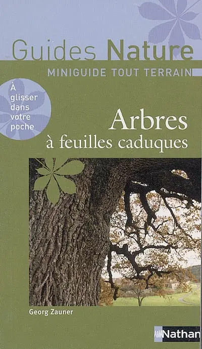 Arbres à feuilles caduques