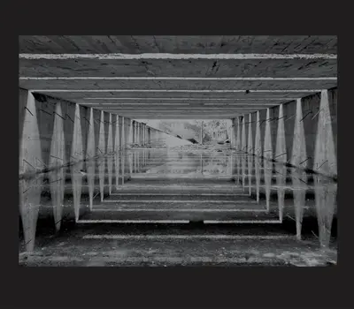 Jardin de l'ombre : an almost nothing