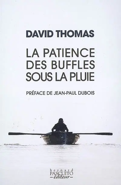 La patience des buffles sous la pluie