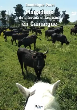 Manadiers de chevaux et de taureaux en Camargue