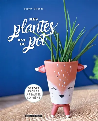 Mes plantes ont du pot : 10 pots faciles à réaliser soi-même