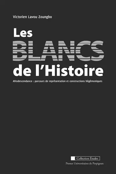 Les blancs de l'histoire : afrodescendance : parcours de représentation et constructions hégémoniques