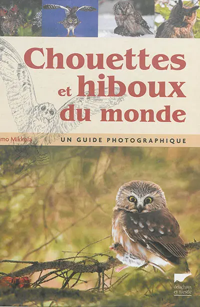 Chouettes et hiboux du monde : un guide photographique