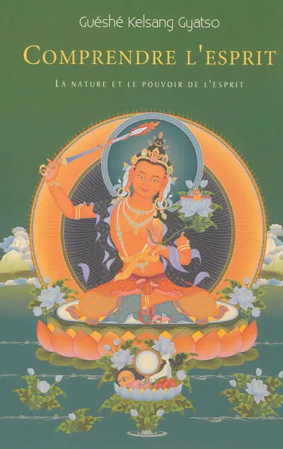 Comprendre l'esprit : lorig : la nature et le pouvoir de l'esprit