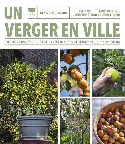 Un verger en ville : près de 30 arbres fruitiers à planter dans son petit jardin ou sur son balcon