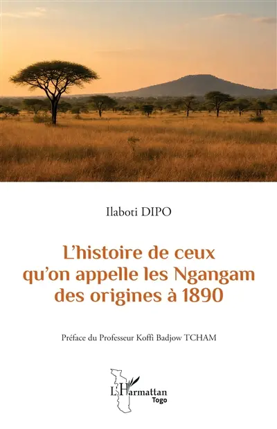 L'histoire de ceux qu'on appelle les Ngangam des origines à 1890