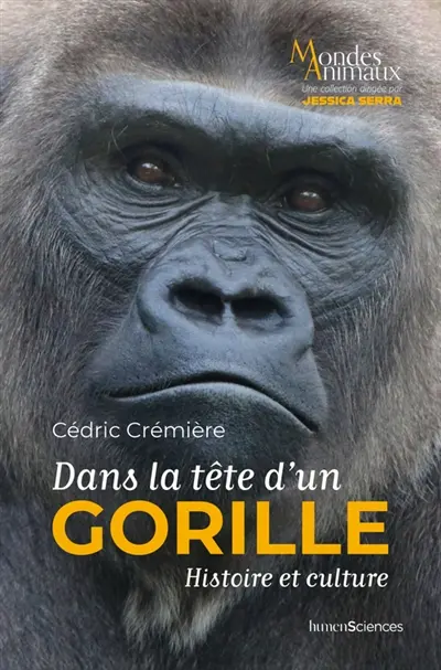 Dans la tête d'un gorille : histoire et culture