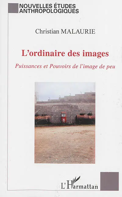 L'ordinaire des images : puissances et pouvoirs de l'image de peu