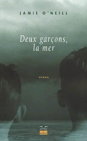 Deux garçons, la mer