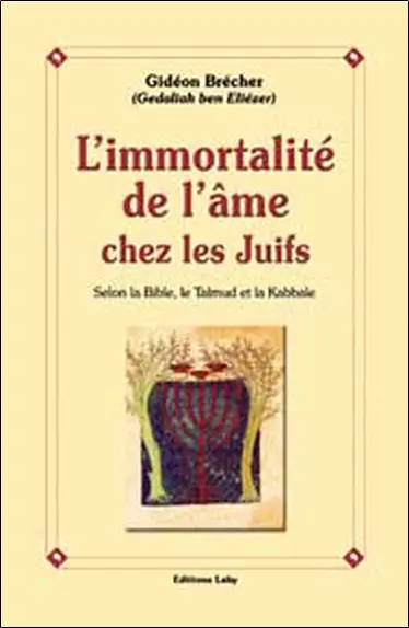 L'immortalité de l'âme chez les juifs : selon la Bible, le Talmud et la Kabbale