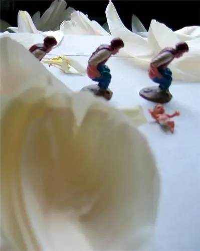 Stephen Prina : Modern Movie Pop