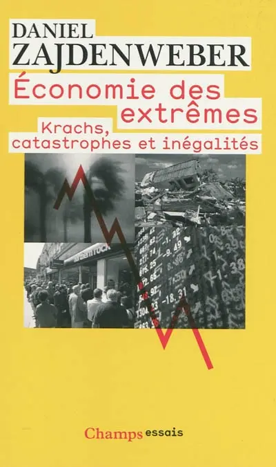 Economie des extrêmes : krachs, catastrophes et inégalités