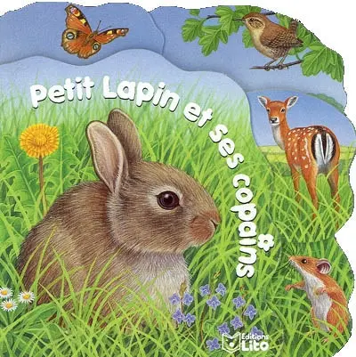 Petit lapin et ses copains