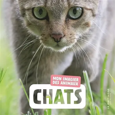 Chats : mon imagier des animaux