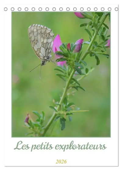 Les petits explorateurs (Calendrier de bureau 2026 DIN A5 horizontal), CALVENDO calendrier mensuel : Découvrez la magie des insectes !