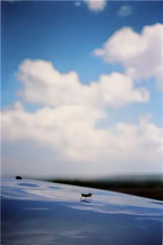 Terri Weifenbach One Picture Book 67 Some Insects