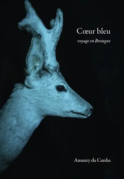 Coeur bleu : voyage en Bretagne