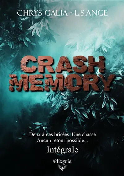 Crash memory : Intégrale