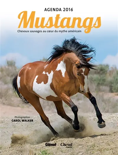 Mustangs : agenda 2016 : chevaux sauvages au coeur du mythe américain