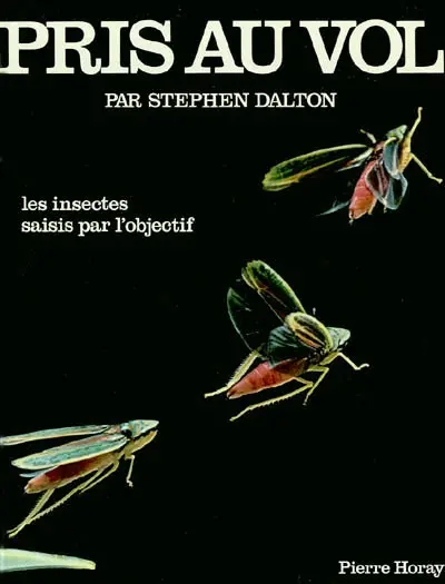 Pris au vol : les insectes saisis par l'objectif