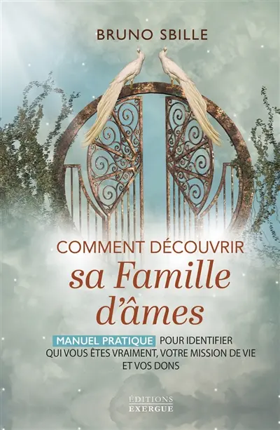 Comment découvrir sa famille d'âmes : manuel pratique pour identifier qui vous êtes vraiment, votre mission de vie et vos dons
