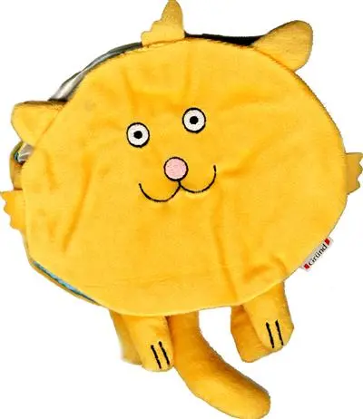 Bonne nuit Minou chat !