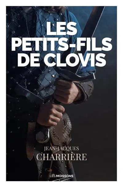 Le sang des Francs. Vol. 3. Les petits-fils de Clovis : roman historique