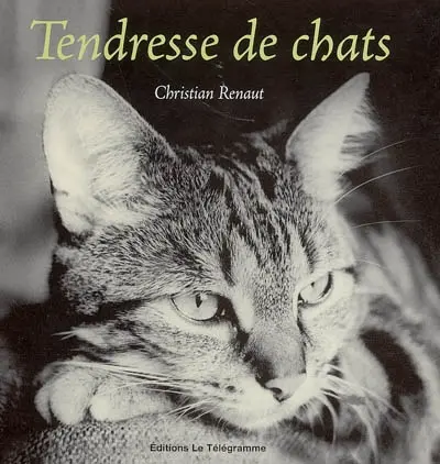 Tendresse de chats