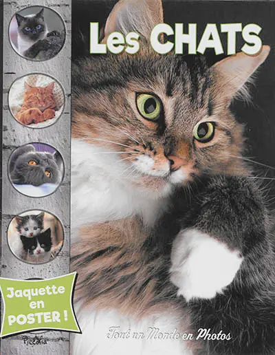 Les chats